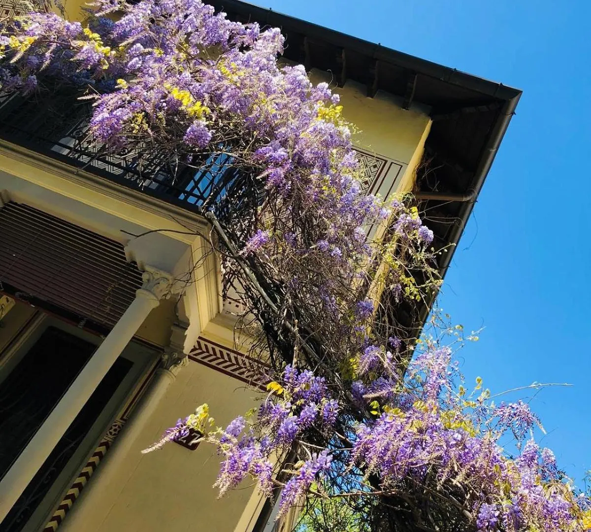 Apartmán Bilocale Chic In Tropical Villa A Due Passi Da Stazione Centrale Milán Itálie